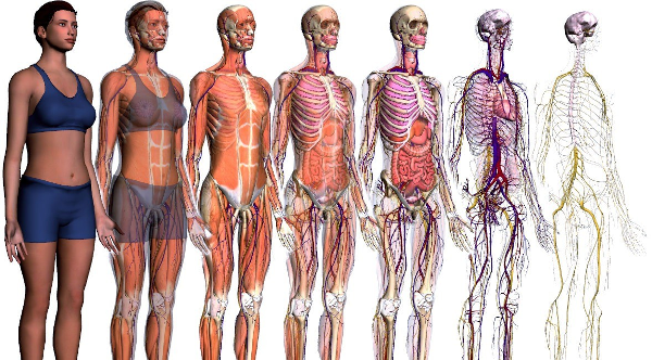 Revive your body in Revive Temple Bled