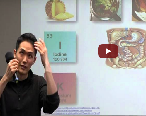 Lecture Gerson therapy